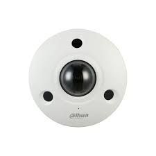 DH-IPC-EBW81242 (00001579)